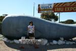 Sonya and the Eucla Whale